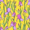 Purple flowers irises on a yellow background. Hand-drawn seamless vector pattern. Royalty Free Stock Photo